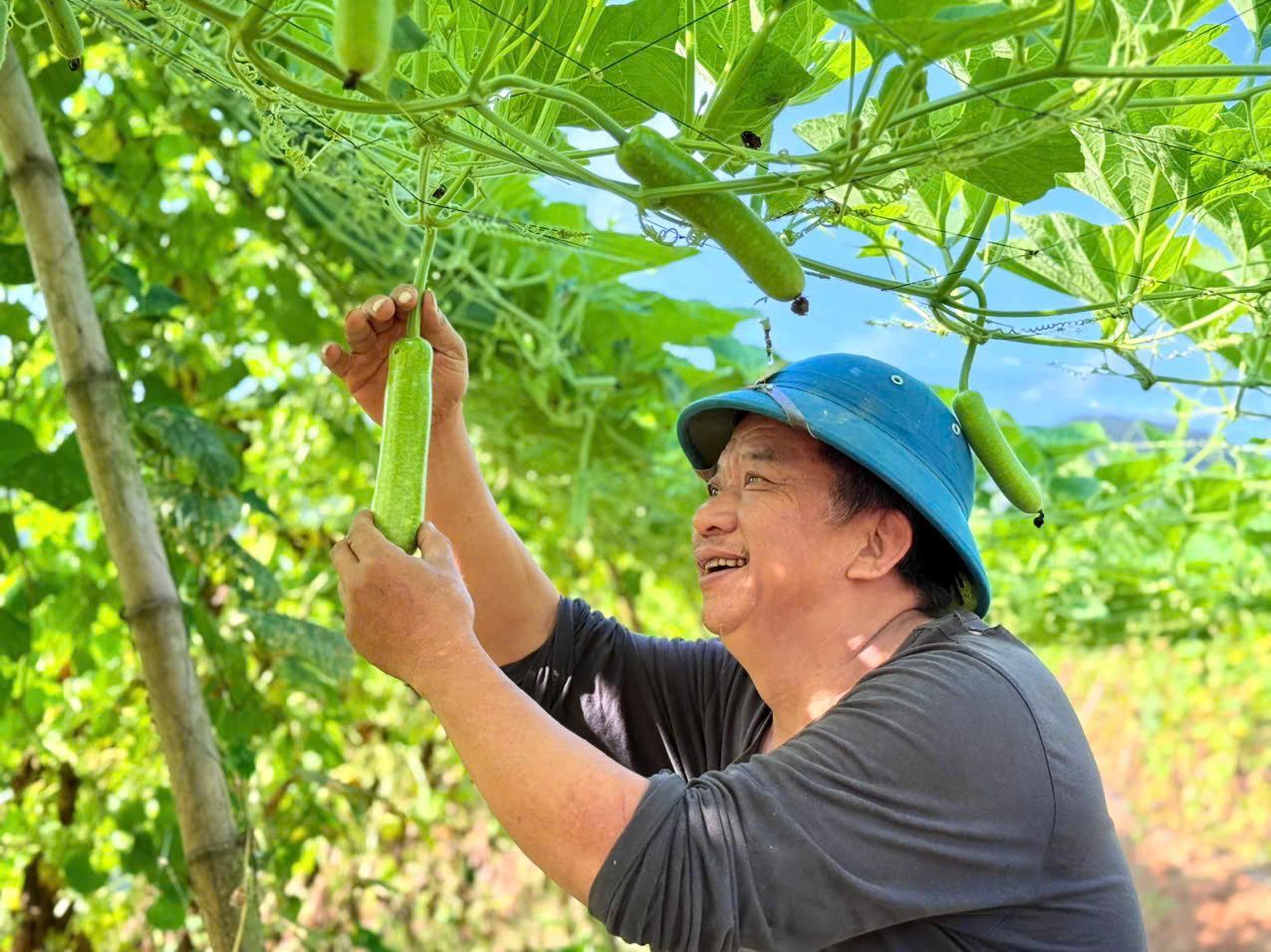 Chuyển đổi cơ cấu cây trồng – Nông dân Thạch Xuân hưởng “lãi kép”