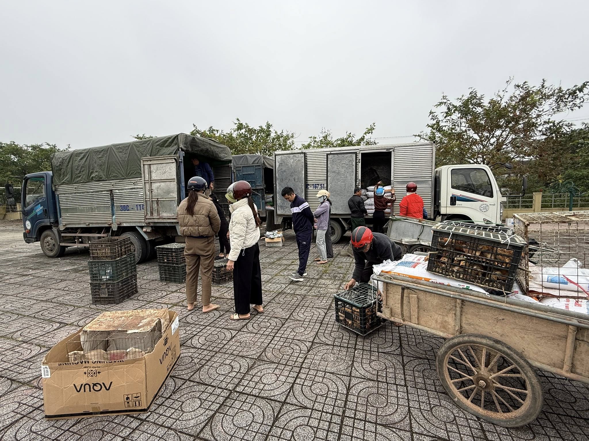 XÃ THẠCH XUÂN TRAO CON GIỐNG, THỨC ĂN CHĂN NUÔI CHO CÁC HỘ THUỘC DIỆN DỰ ÁN GIẢM NGHÈO NĂM 2025