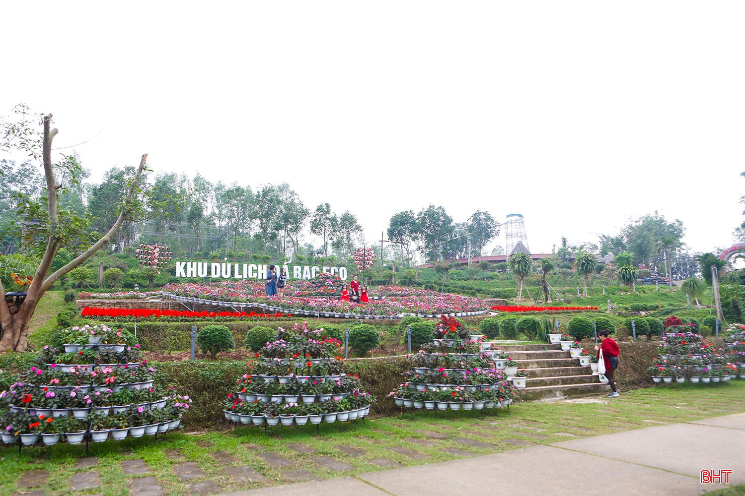 Thoả sức check-in với đường hoa dã quỳ tại Đá Bạc Eco