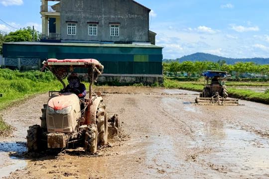 Nông dân Thạch Xuân tập trung làm đất, sẵn sàng xuống giống lúa vụ Hè Thu 2026