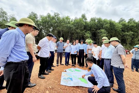 Khảo sát thực địa dự án sân golf tại Thạch Xuân trước khi trình Hội đồng nhân dân tỉnh quyết định  chủ trương chuyển đổi mục đích sử dụng rừng