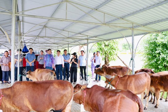 Thạch Xuân: Trao sinh kế, dựng mái ấm cho hộ khó khăn 