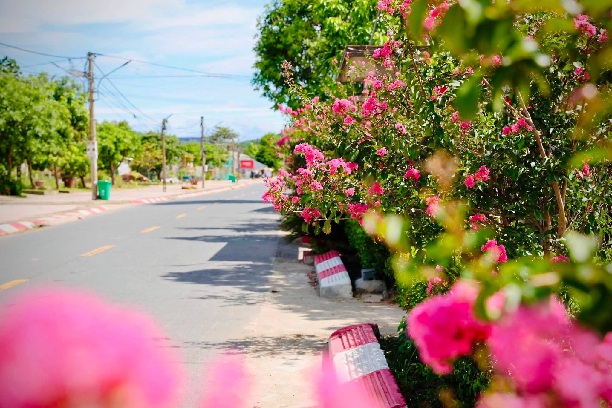 Thạch Xuân mùa này-đẹp đến nao lòng