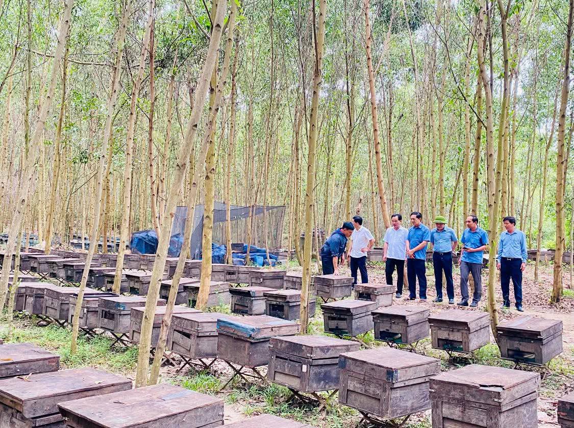 THẠCH XUÂN KIỂM TRA ĐỊA BÀN NẮM BẮT TÌNH HÌNH GỠ KHÓ SAU SÁP NHẬP  